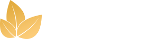 Light Logo